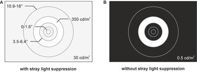 The Influence of the Stimulus Design on the Harmonic Components of the Steady-State Visual Evoked Potential